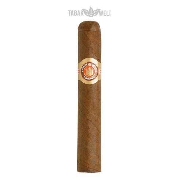 ramon-allones-small-club-zigarren-coronas-einzeln