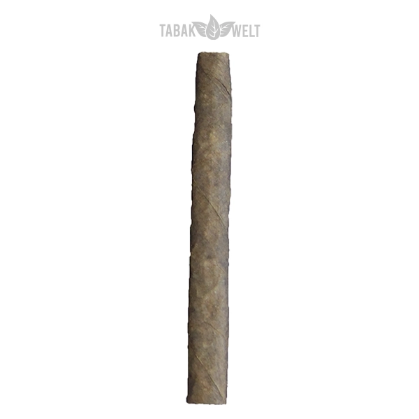 Woermann Cigars 5th Generation Zigarren Corona Brasil Einzel