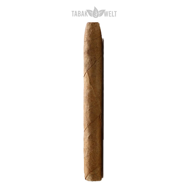 De Olifant Classic Magnum Zigarren VOC Club Einzel