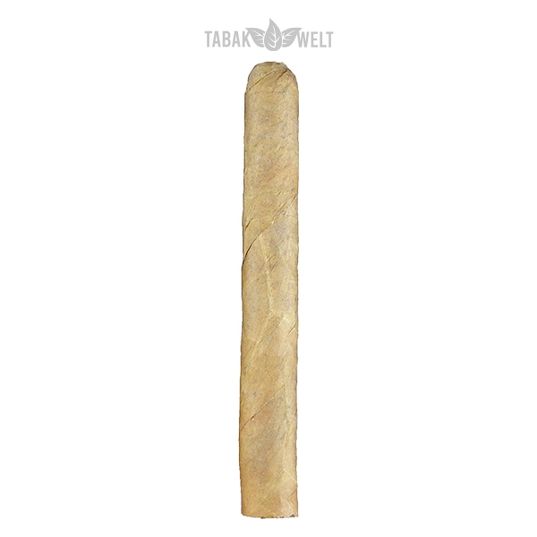 Woermann Cigars Seefahrer Zigarren Kapitän Cook Sumatra No. 60 Einzel