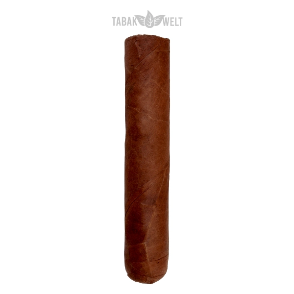 cusano-dominikanische-republik-zigarren-short-robusto-einzel