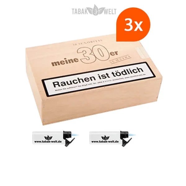 3x-meine-30er-sumatra-zigarren-mit-sturm-feuerzeuge
