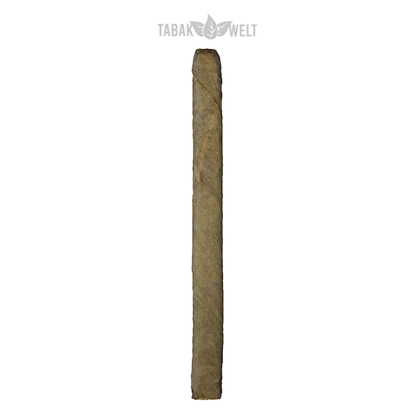 Woermann Cigars Exclusive Zigarren Panatella Brasil Einzel