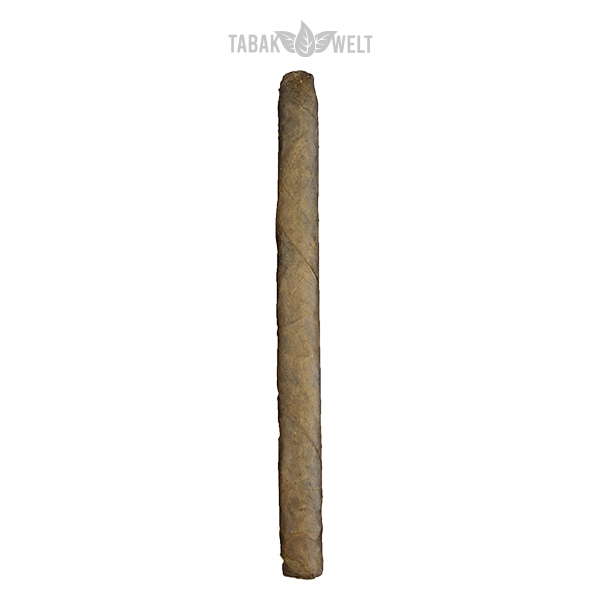 Woermann Cigars Exclusive Zigarren Fiesta Brasil Einzel