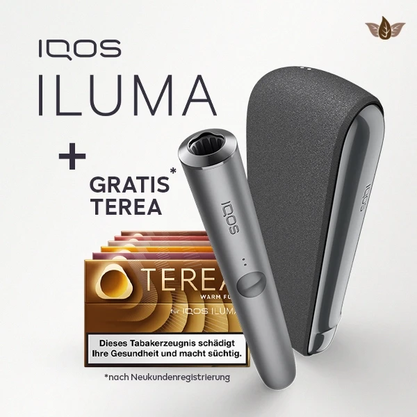 iqos-iluma-pebble-grey-grau-gratis-terea