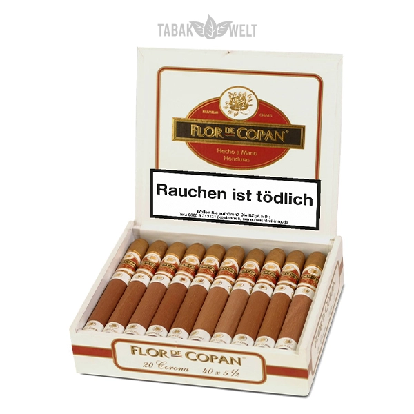 flor-de-copan-linea-clasica-corona-kiste-offen