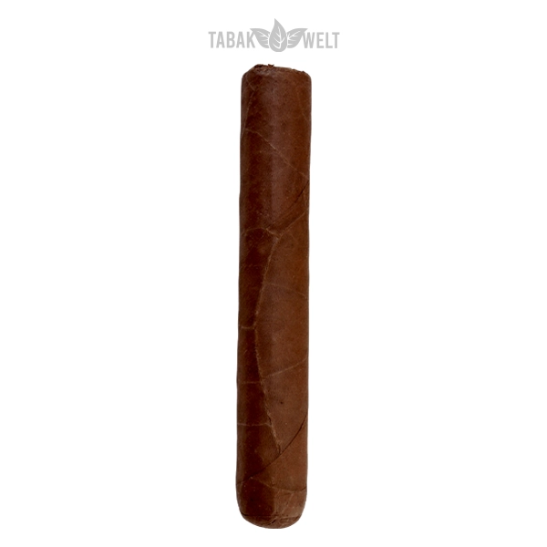 cusano-dominikanische-republik-zigarren-robusto-einzel