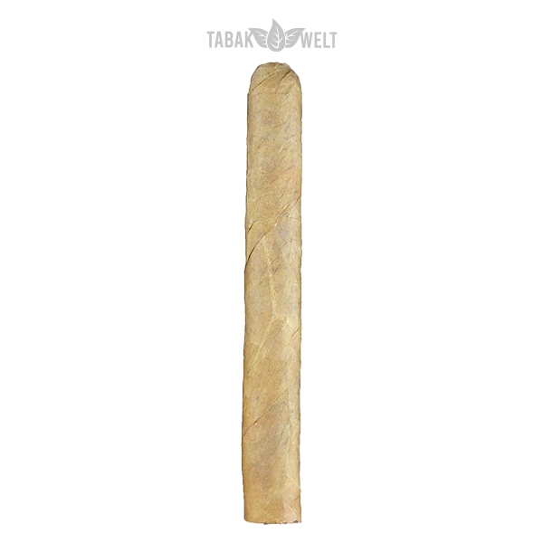 Woermann Cigars Seefahrer Zigarren Sir Francis Drake Sumatra No 100 Einzel