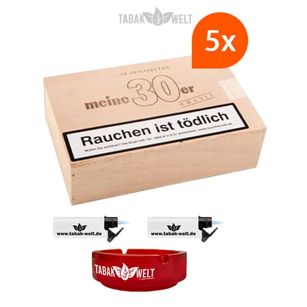 5x-meine-30er-brasil-zigarren-mit-sturm-feuerzeuge-und-glas-aschenbecher