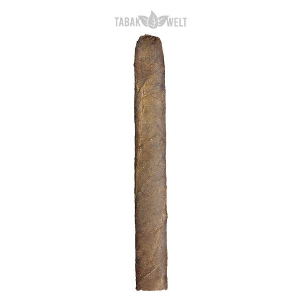 Woermann Cigars Seefahrer Zigarren Sir Francis Drake Brasil No. 100 Einzel